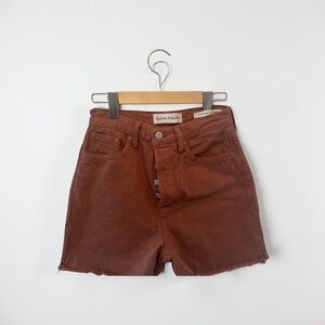 Denim Forum Brown Jean Shorts
